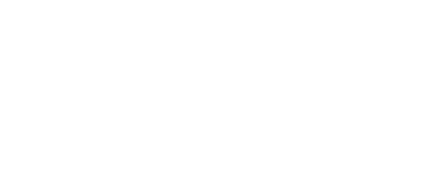 Dr. Piringer