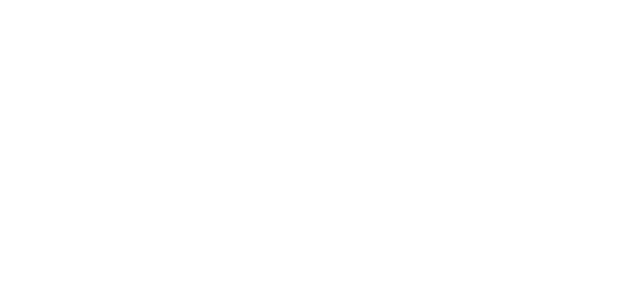Dr. Schett