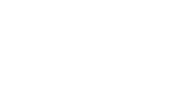 Functional Spine