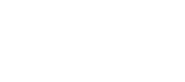 Zwick